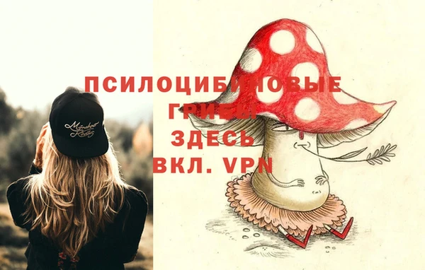 a pvp Гусев
