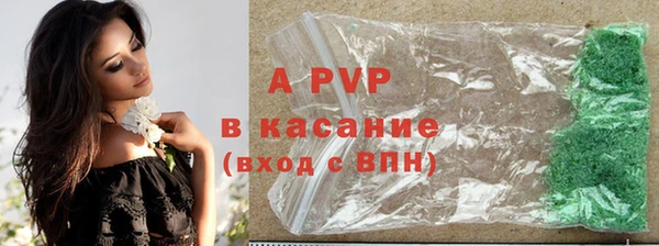 a pvp Гусев