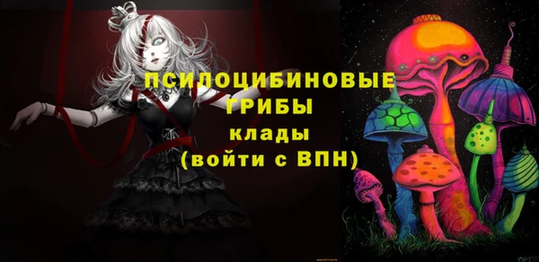 a pvp Гусев