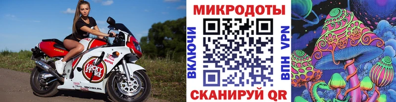Галлюциногенные грибы Magic Shrooms  где найти   Медногорск 