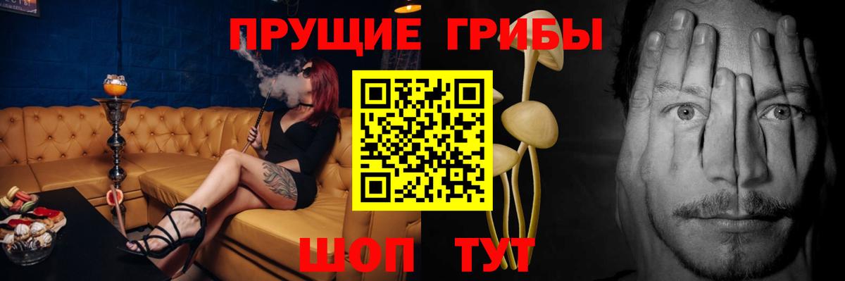 Галлюциногенные грибы прущие грибы  Галлюциногенные грибы Psilocybine cubensis  Вход с VPN  сколько стоит  Медногорск 