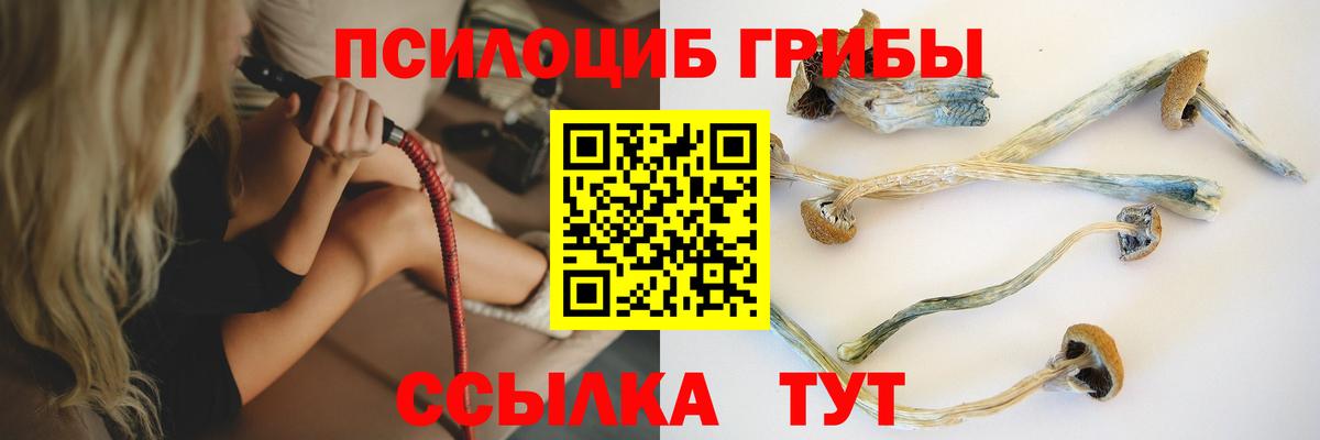 Галлюциногенные грибы Cubensis Медногорск
